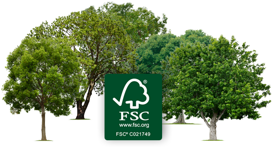 La carta eco-sostenibile