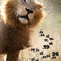 Calendario Felinus 6